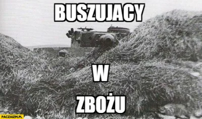 S.....k - @Lurriel: Bo tutaj nie ma żartów, elfika już nie ma.. Jest coś gorszego!