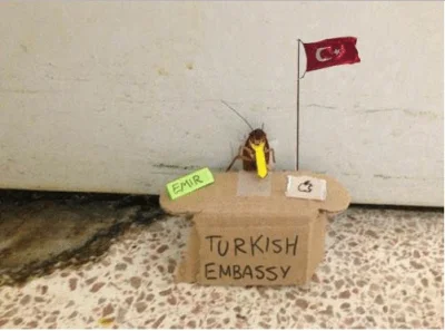 Slowbro - Turecka Ambasada ma niedługo wydać oświadczenie w tej sprawie ( ͡° ͜ʖ ͡°)