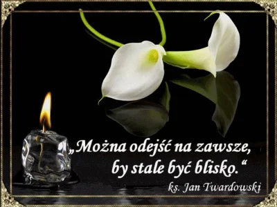 sprzedalemsie_pl - @Siwulek: