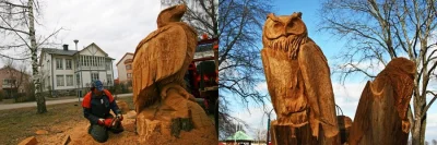 hqvkamil - Ktoś chciałby mieć taką sowę lub orła, przed domem? #carving #pilarki