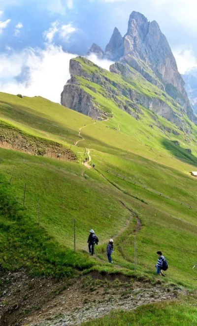 kono123 - Dolomity

#gory #goryboners #dolomity #wlochy #trekking