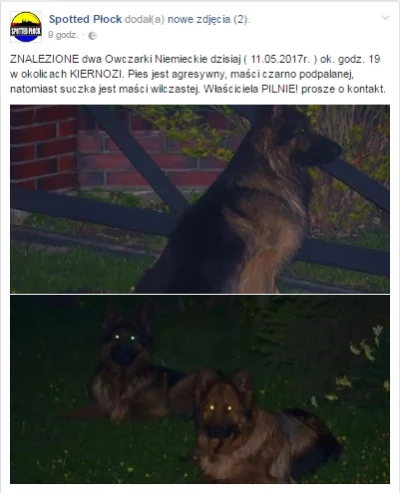 Cherish - @Ryo: w okolicach Kiernozi znaleziono psa i suczkę