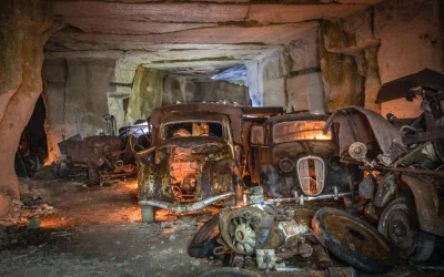 myrmekochoria - Vincent Michel (odkrywca w 2016 roku), Stare samochody schowane w kam...