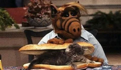 zaklety25 - #wacik #alf 
SPOILER