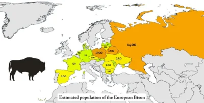 cieliczka - Populacja żubrów (albo bizonów europejskich) w Europie

Obserwuj #infog...