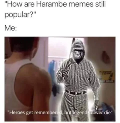 h.....s - #harambe #heheszki