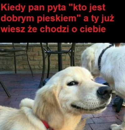 P.....m - Hejka! To znowu ja :3
Dziś dzień 15/100 miłych postów!
Jak wasze egzaminy? ...