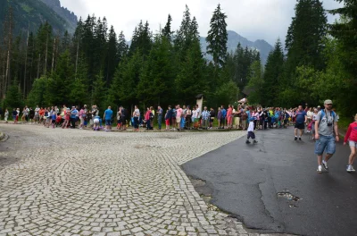 m4kb0l - Kolejka do bryczek pod morskim okiem



#zakopane #turystyka #idioci #tatry