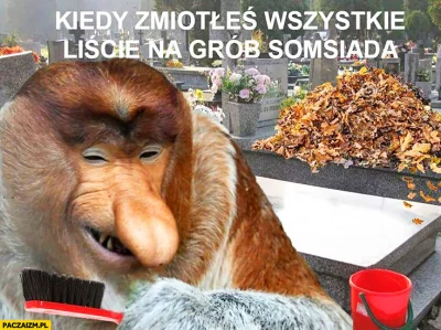 Heexi - XD #heheszki #polak #grobbing
