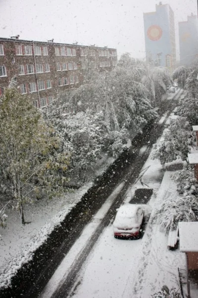 kniziol - #pogoda #snieg'u duzo wszedzie i #bialo. w #stalowawola tez :]
