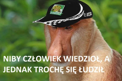 Miecz12 - za wczesnie?
#zuzel