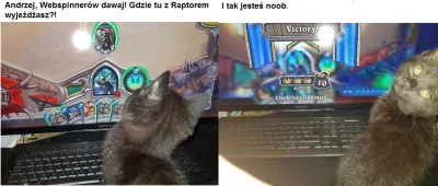 Felidiusz - Pepper i jej wersja mema z kotem Andrzeja.
#hearthstone #heheszki #pokaz...