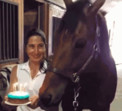 RRybak - Urodzinki! ʕ•ᴥ•ʔ
#konie #heheszki #koniary #torcik