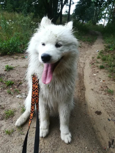 azzip - @heheszkant: cośtam mam, chociaż nie za dużo bo to czyścioch jest ¯\\(ツ)\/¯