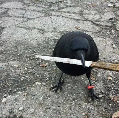 xan-kreigor - #linux #gimp #opensource #heheszki

szybko, masz 30 sekund na narysow...