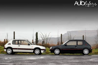 hojrak - #frenchcarlovers 2x 205 gti