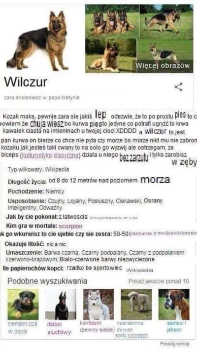 atomicautism - Dzisiaj jest bardzo śmiesznie 
#heheszki #humorobrazkowy