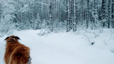 Ziombello - @Combini: Co on ma, kolczyk w nosie?( ͡° ͜ʖ ͡°)

Ja się wczoraj wybrałe...