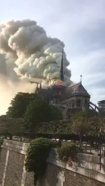 xandra - We Francji znów stabilnie, pali się Katedra Notre Dame w Paryżu. Pytanie, cz...