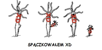 dziubeQ - XD
#paczki #tlustyczwartek #heheszki #humorobrazkowy #xd