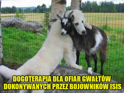 qxbqxb - @AlojzyKoniowal: