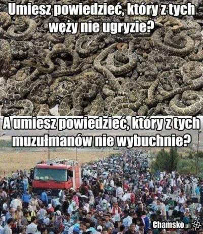 medykydem - #heheszki