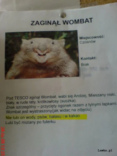 grajek91 - #byloaledobre #heheszki #wombat 
XD