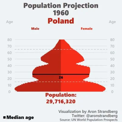 a.....1 - Polska 1960 vs Polska 2060

Liczba ludności będzie podobna, jednak strukt...