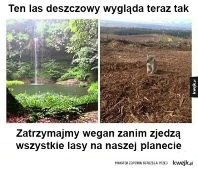 llllllll - @Udowodnijalbozamilcz: A TY NIE MASZ WYRZUTÓW SUMIENIA?! ZOBACZ DO CZEGO D...