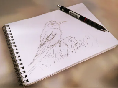 Namarin - Bird study. Just a quick sketch.


#rysujzwykopem #sketchbook #namarinry...