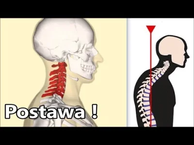 fortySeven - @Wpytke: polecam, mi pomogło na problemy z garbieniem od siedzenia przed...