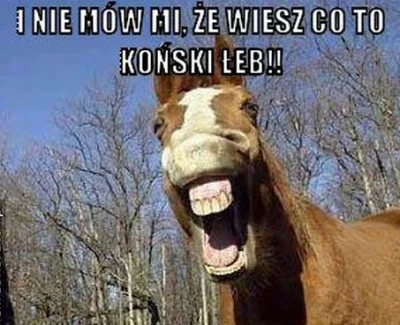 albano - @ozzmann: mów do konia, ma duży łeb, pewnie cię wysłucha( ͡º ͜ʖ͡º)