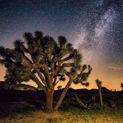 mlek - #hamakboners #kosmos