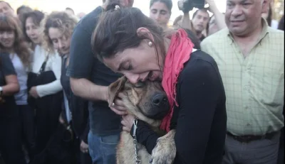 angelo_sodano - Pies odnaleziony przez właścicielkę po trzęsieniu ziemi w La Plata, A...