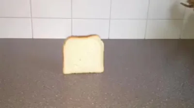 Umbonia - Wywracający się tost. Co tu się... XD

#heheszki #humor #gif
#wtf