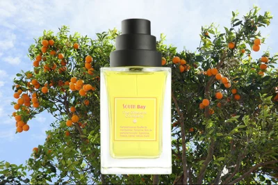 KaraczenMasta - 29/100 #100perfum #perfumy

Dziś mój ulubiony zapach cytrusowy.

...