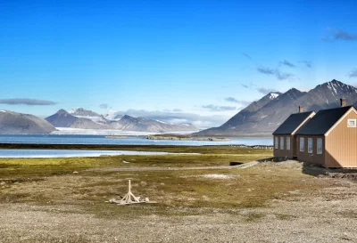 starface - Ny-Alesund, Svalbard. W całym archipelagu jest więcej niedźwiedzi polarnyc...