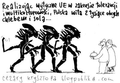 h.....y - #europa
#kryzys
#wegry
#polska
#islam
#imigranci
#stopislamizacjieuro...