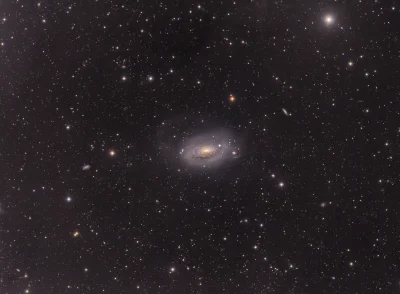 Nedved - Galaktyka Słonecznik (M63) w gwiazdozbiorze Psów Gończych. Scena obejmuje ok...