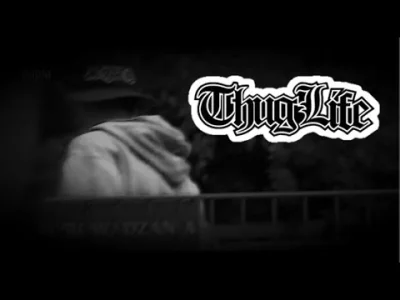 AliNilA - #heheszki #thuglife #patologiazewsi