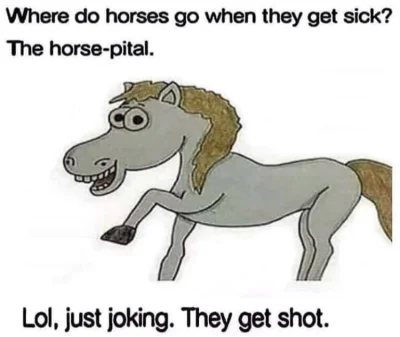 Slowbro - Przetłumaczyłem Wam śmieszny obrazek:

Dokąd idą konie kiedy zachoruja?
Do ...