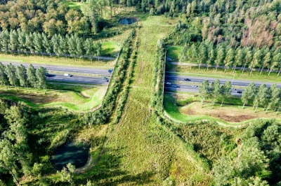 abiT - Most dla zwierząt nad autostradą w Holandii
#ciekawostki #natura