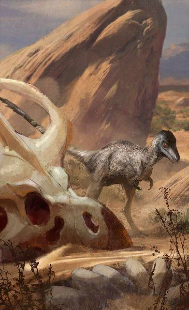 Prekambr - Mononykus olecranus, autor: Jonathan Kuo

Mononykus żył ok. 70 mln lat t...