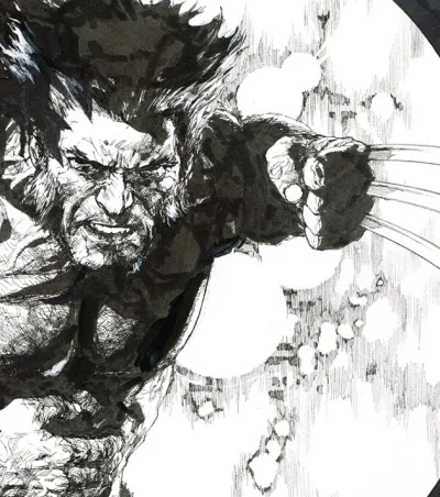 aleosohozi - Leinil Francis Yu "Wolverine"
#komiks #wolverine #art #okladkaboners