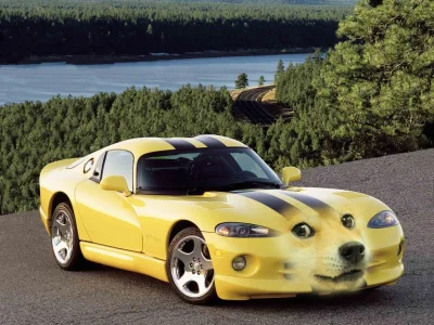 j.....y - @a-lexis: 
 DOGE Viper