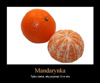 Cziken1986 - U W A G A
Aaaaaaa...!!
#gownowpis #mandarynka