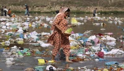 volatile_pc - > Plaże w Maroku są pełne śmieci.

Przecież to Afryka.

 Europy Zach...