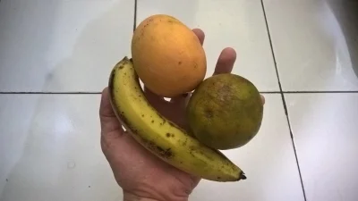 w.....a - @AlienGod: Poniżej masz dziko rosnącego banana, mandarynkę i mango. Dodam, ...
