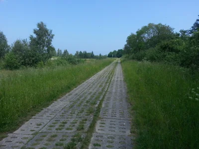 Adammik - Pozdro z ... jakiegos rezerwatu chyba