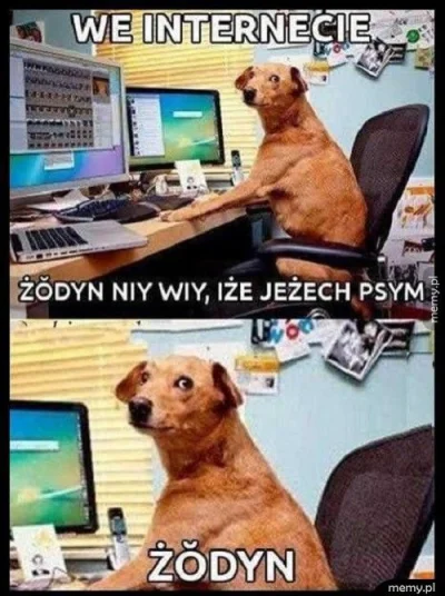 Takhis - #byloaledobre #byloalebedziejeszczeraz #heheszki #memy #gownowpis #pieseczki...